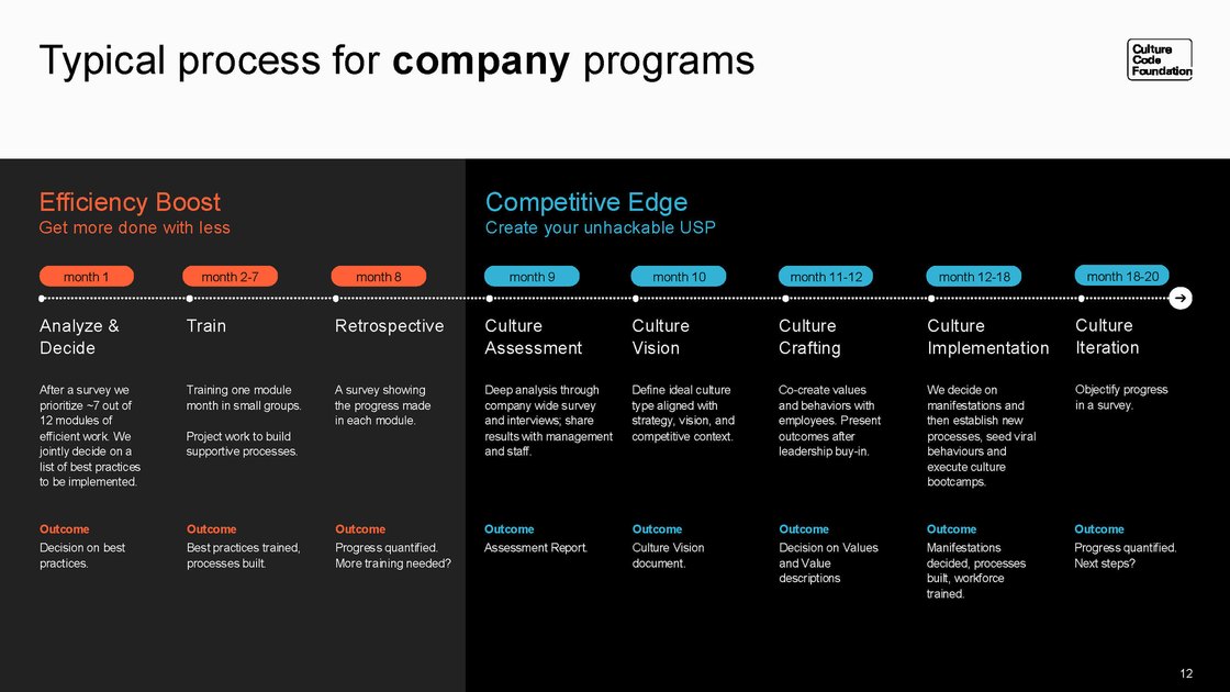 Typical flow of a company programme across twelve months