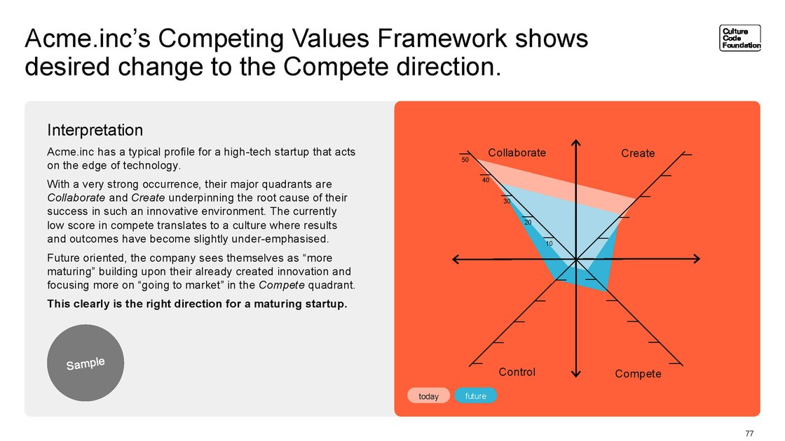 Sample framework analysis for a technology company